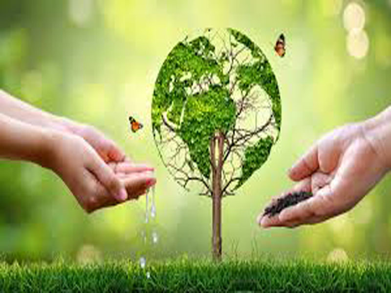 Protect Nature, Preserve Our Future